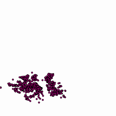 Export Image